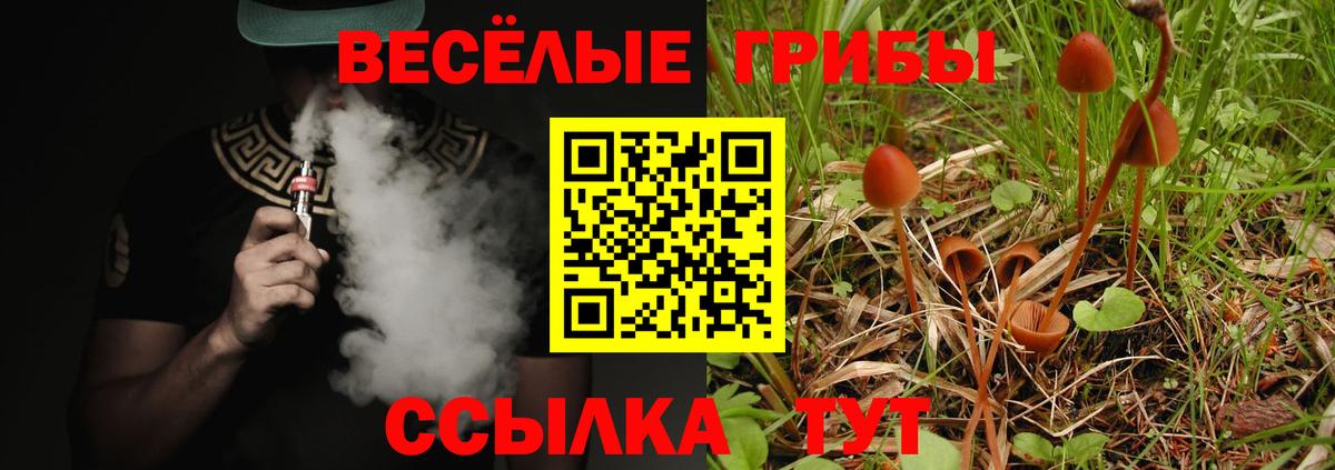 Галлюциногенные грибы мицелий  Вход с VPN  Вязники 